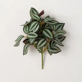11"H Sullivans Tradescantia Inch Plant Branch, Multicolor 11"H Sullivans Tradescantia Inch Plant Branch, Multicolor