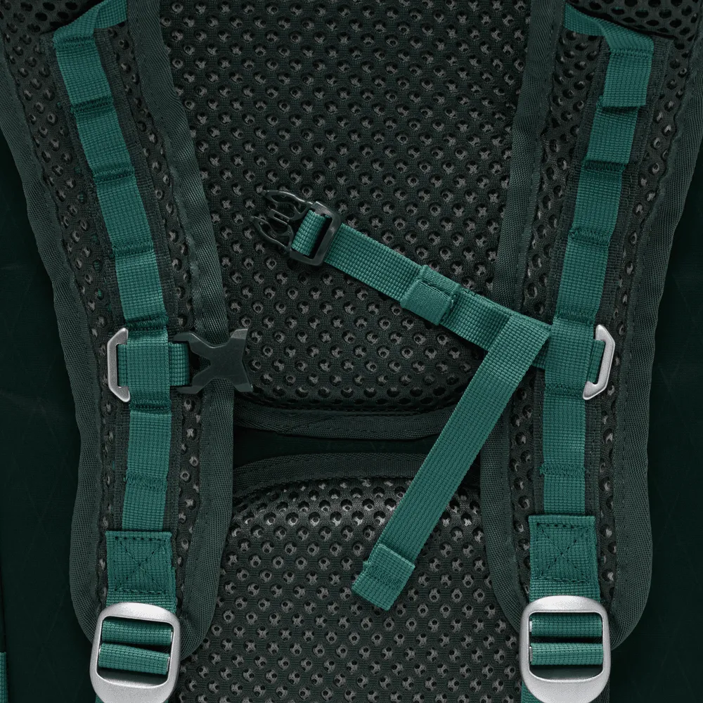 ACG Aysén Day Pack (32L) 'Vintage Green/Light Iron'