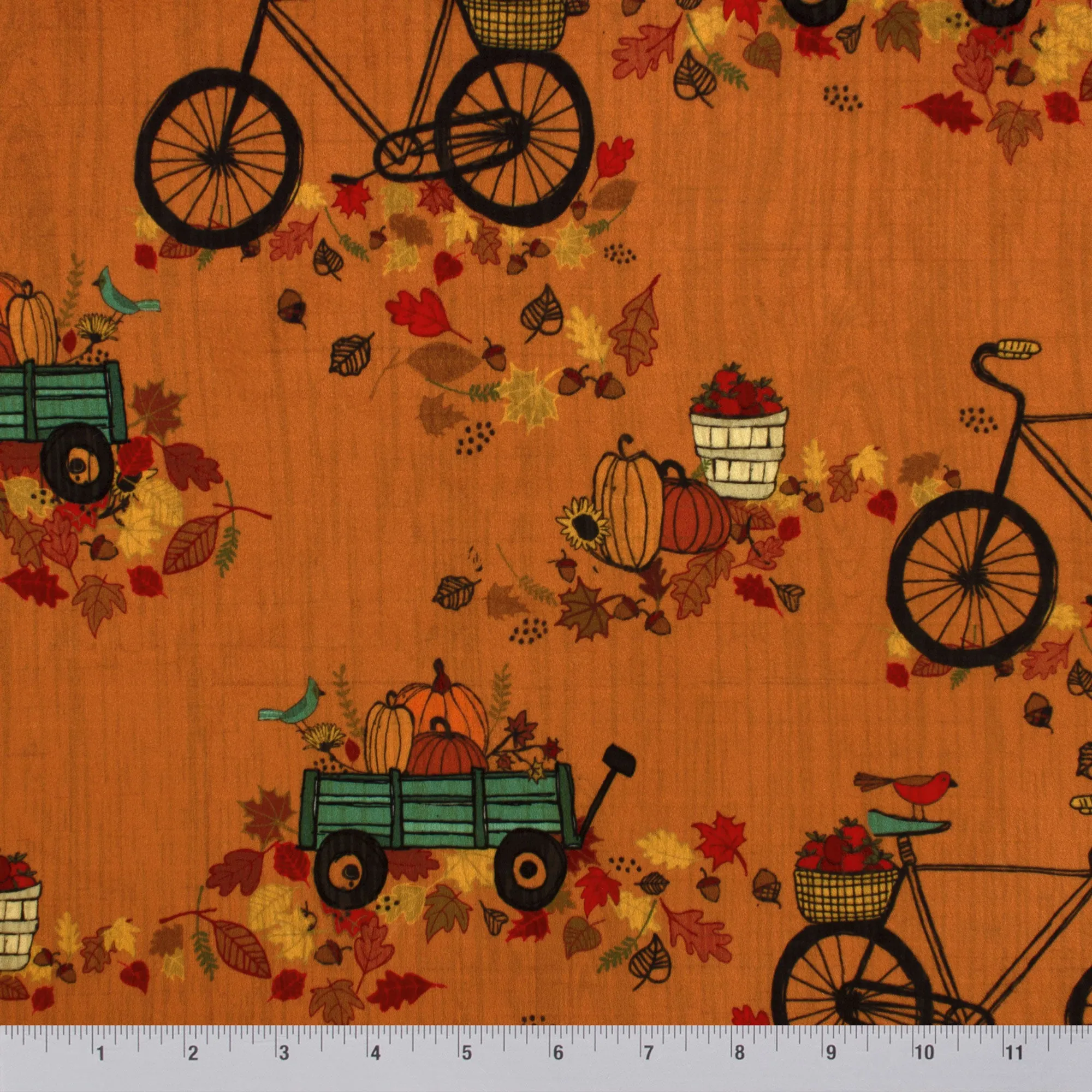 Autumn Bicycle Ride | Thanks Living