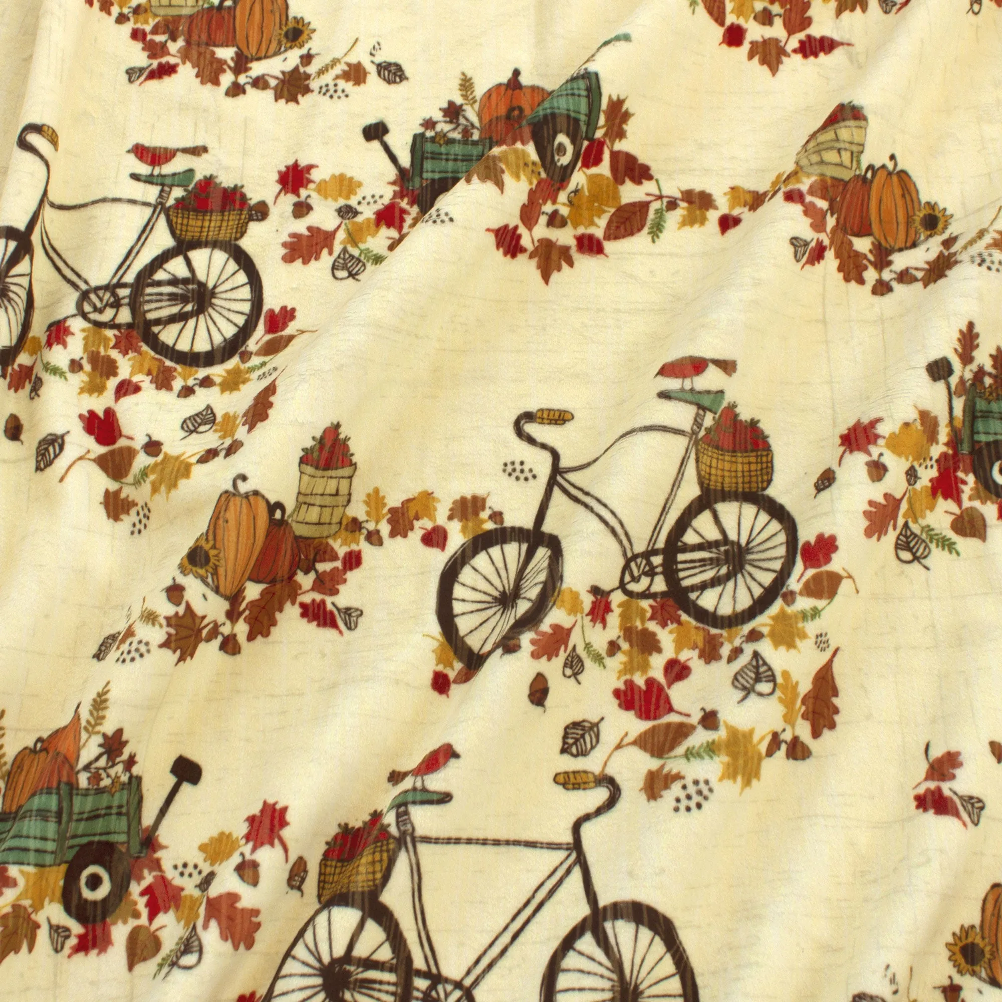 Autumn Bicycle Ride | Thanks Living