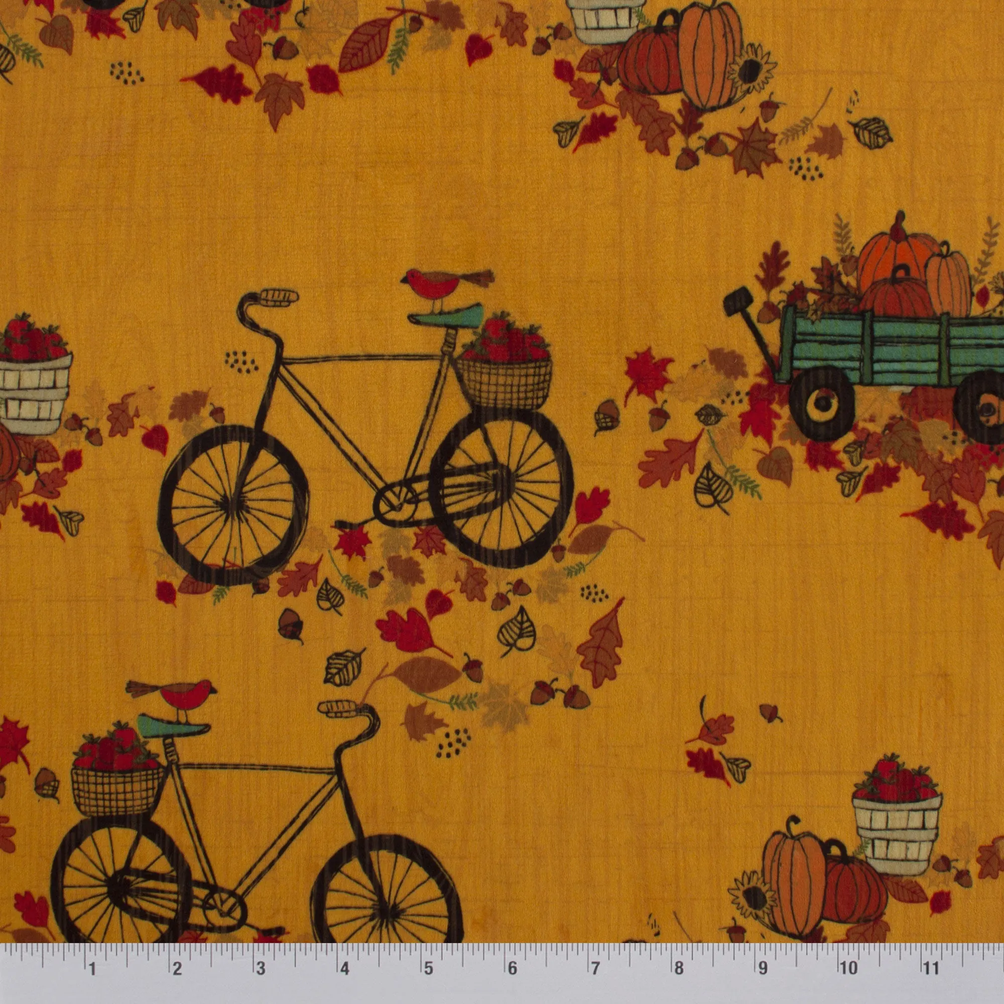 Autumn Bicycle Ride | Thanks Living