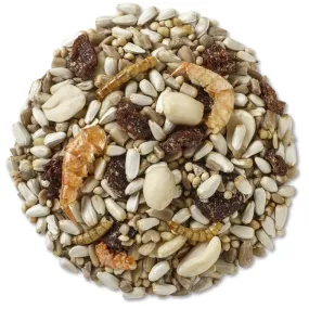 Brown's Nuts, Berries & Bugs Wild Bird Seed, 5-lb bag Brown's Nuts, Berries & Bugs Wild Bird Seed, 5-lb bag