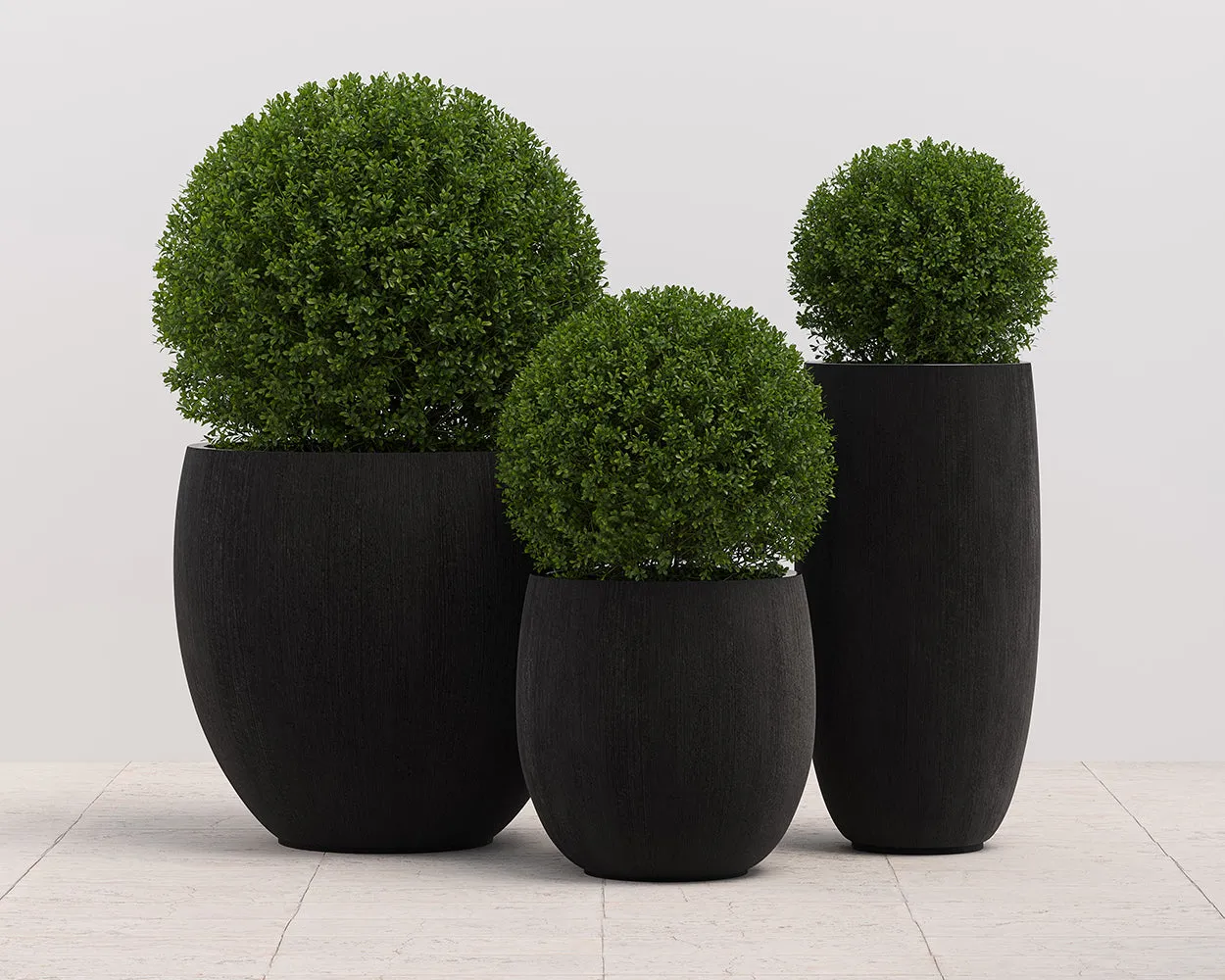 Coleus Planter - Large - Round