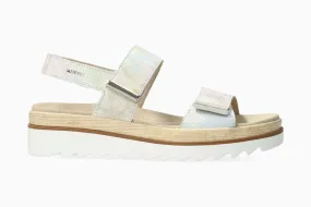 Dominica - Multicolored Dominica - Multicolored