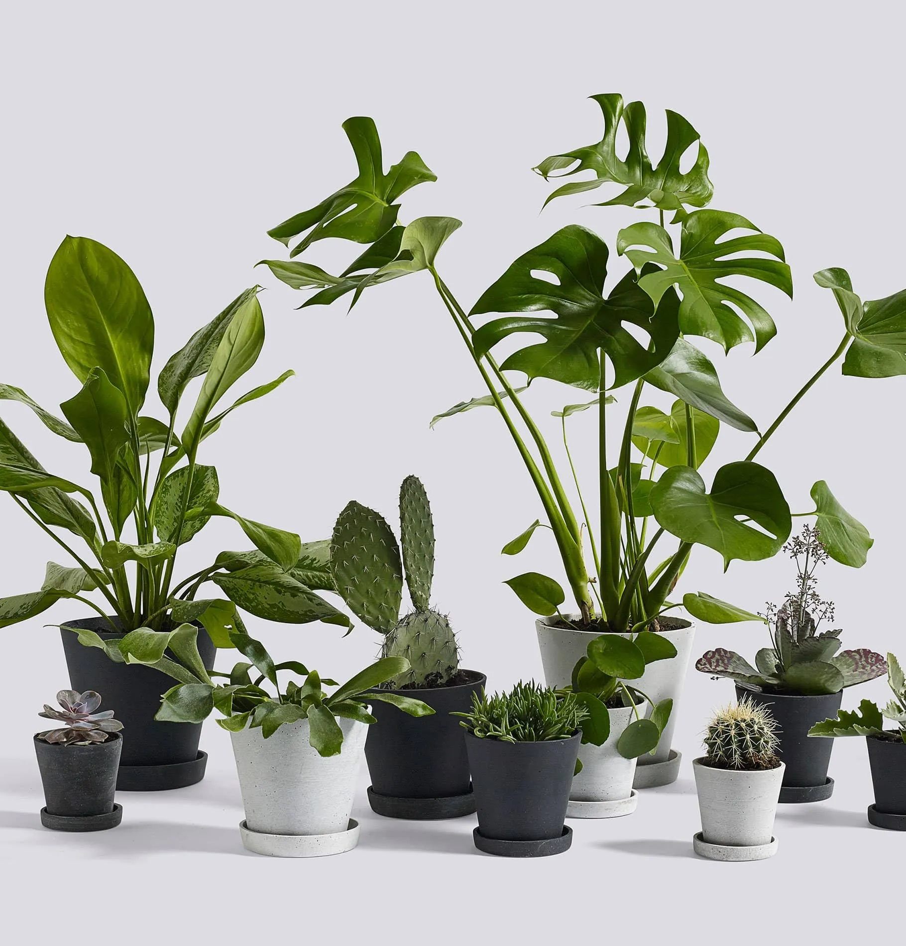 HAY Flowerpot with Saucer - XL Grey