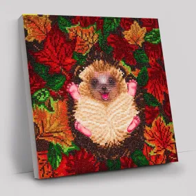 "Autumn Hedgehog" Crystal Art Kit 30x30cm "Autumn Hedgehog" Crystal Art Kit 30x30cm