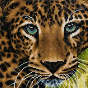 "Leopard" Framed Crystal Art Kit 30x30cm "Leopard" Framed Crystal Art Kit 30x30cm